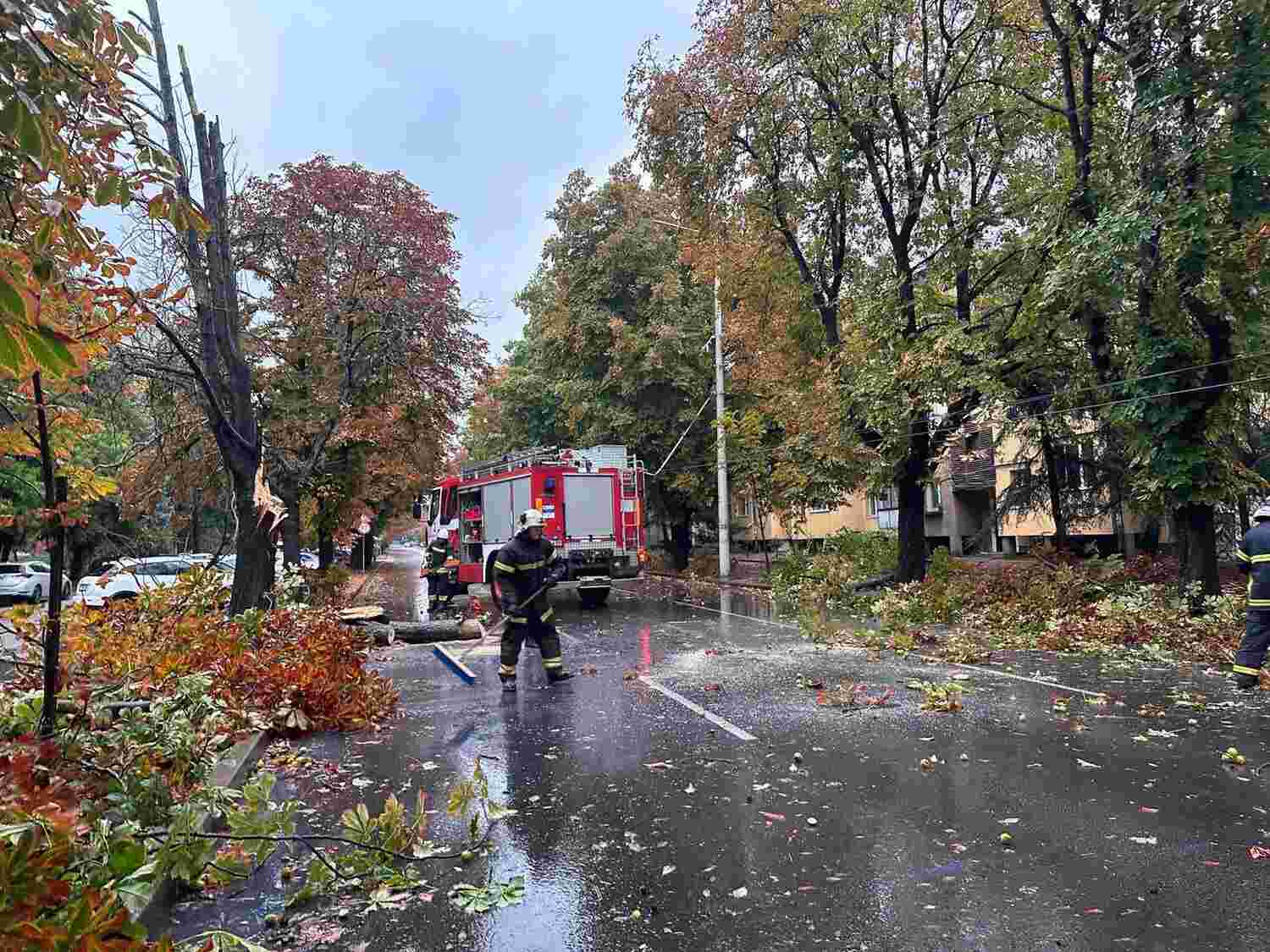 Силен вятър предизвика падане на дървета в Русенско