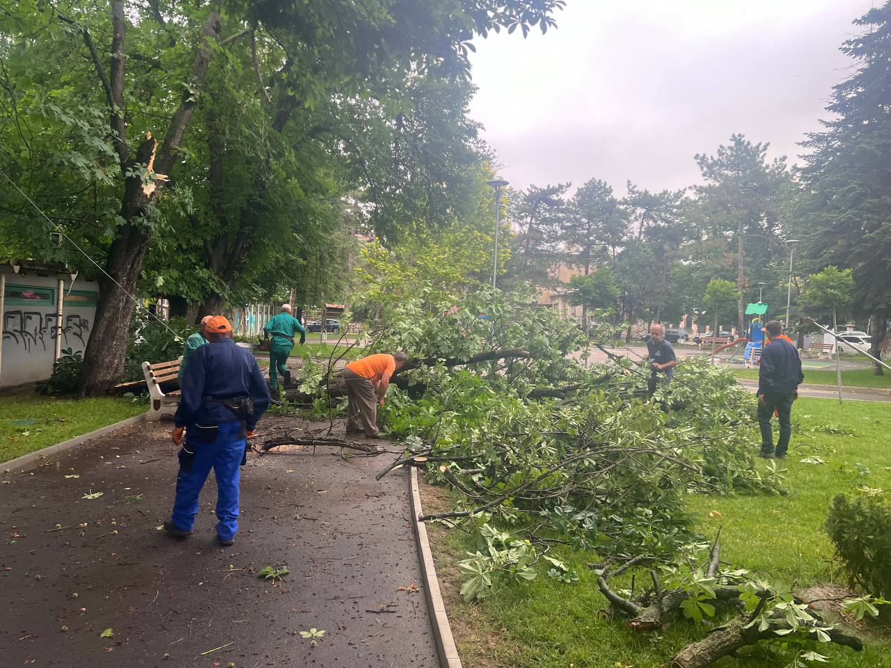 В Русе над 230 служители от дежурните екипи отстраняват щетите след снощната буря