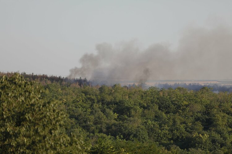 Огнеборци гасят пожар в гора край Русе