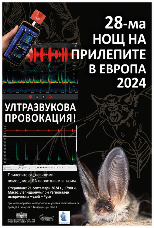Регионалният исторически музей в Русе ще отбележи Международната нощ на прилепите със занимания за деца