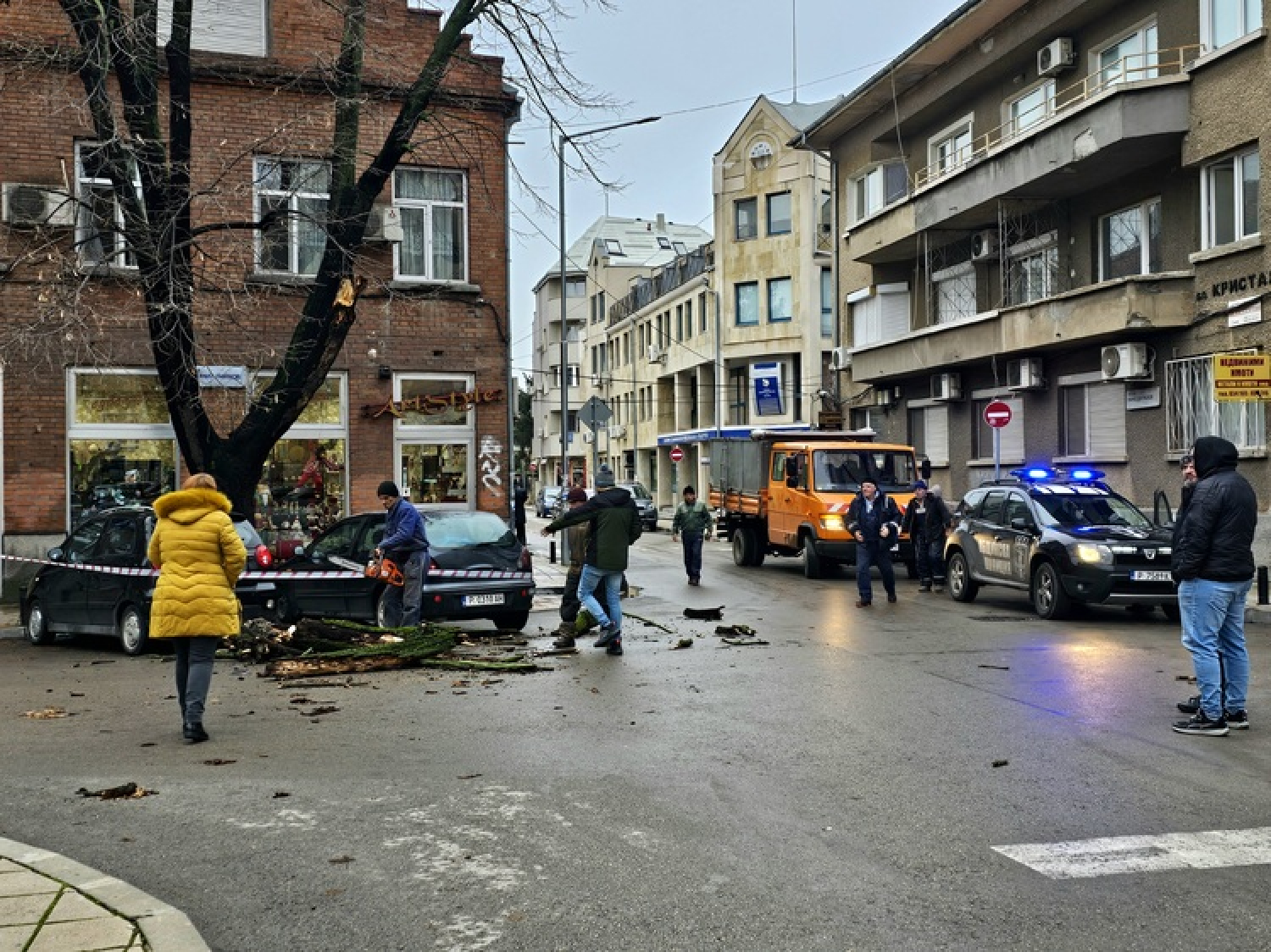 Част от дърво падна върху автомобил в центъра на Русе