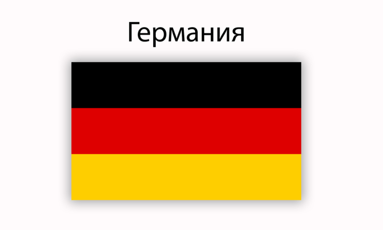 Германски депутат съобщи, че е получил заплашително писмо от крайнодясна терористична групировка